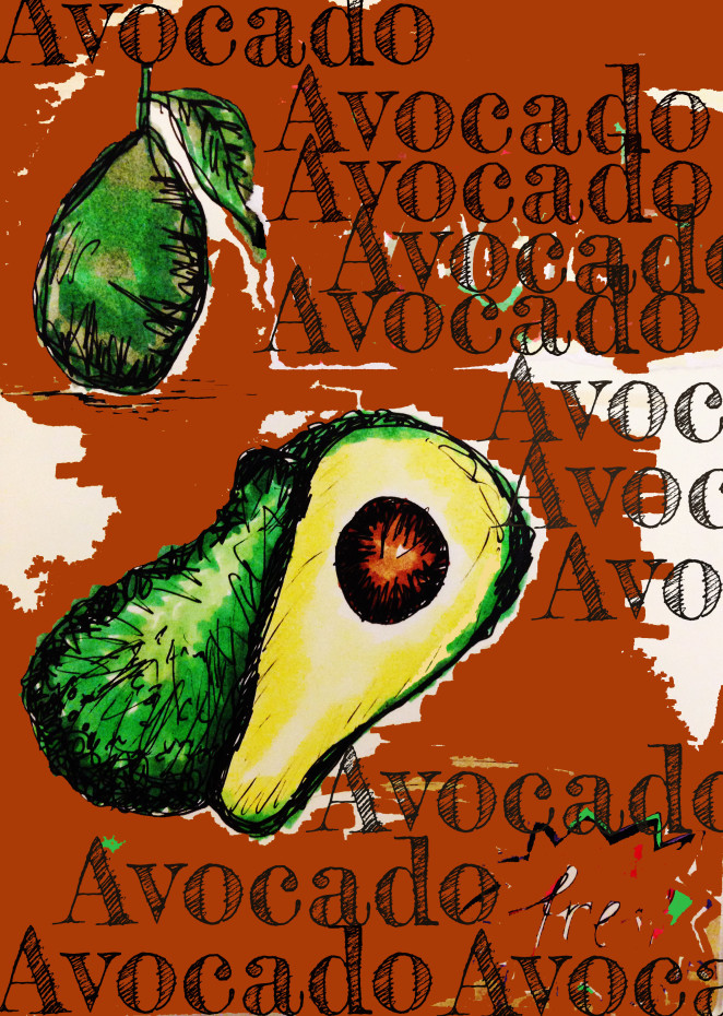 Über die grüne Beere – Avocado
