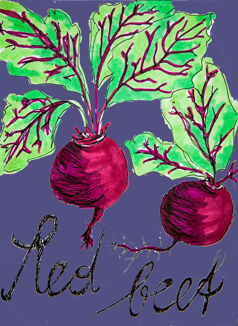 So rot, so gesund - Rote Rüben - Foodtastic