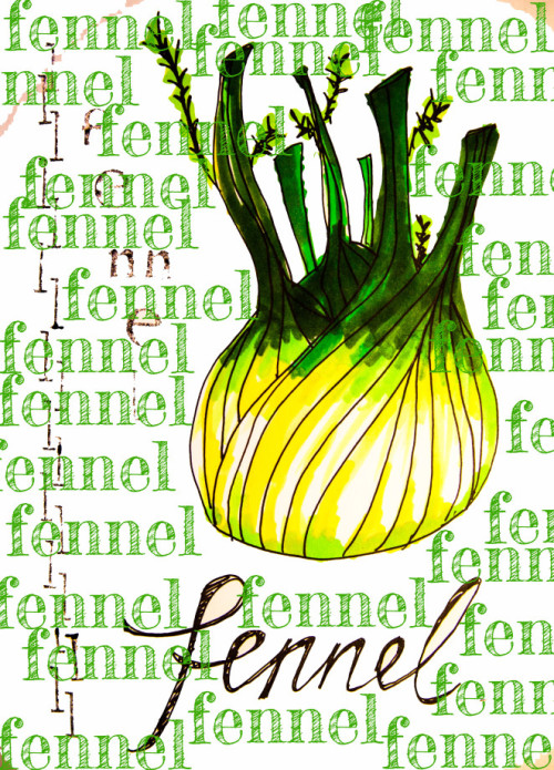 Picture for On Fennel and a Delicious Fennel Risotto