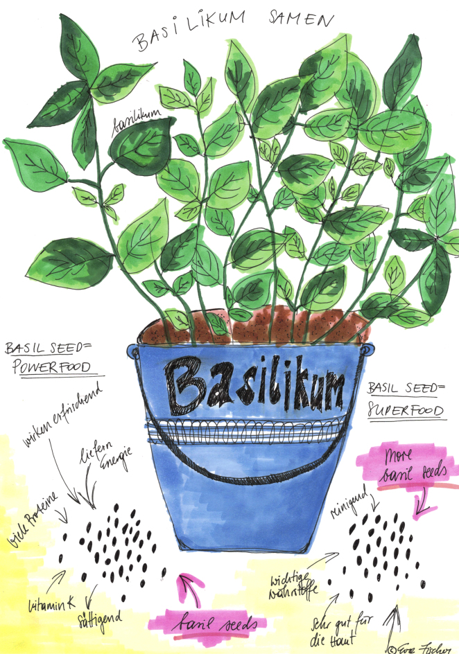 Basil Seeds – the new Basil Boom