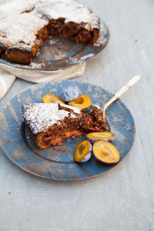 Bild für Schokolade-Zwetschgen-Kuchen