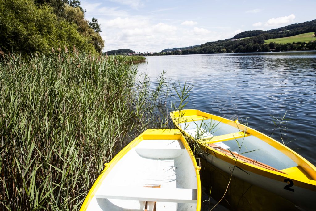 Sommerfrische-Salzburgerland_Foodtastic_8644