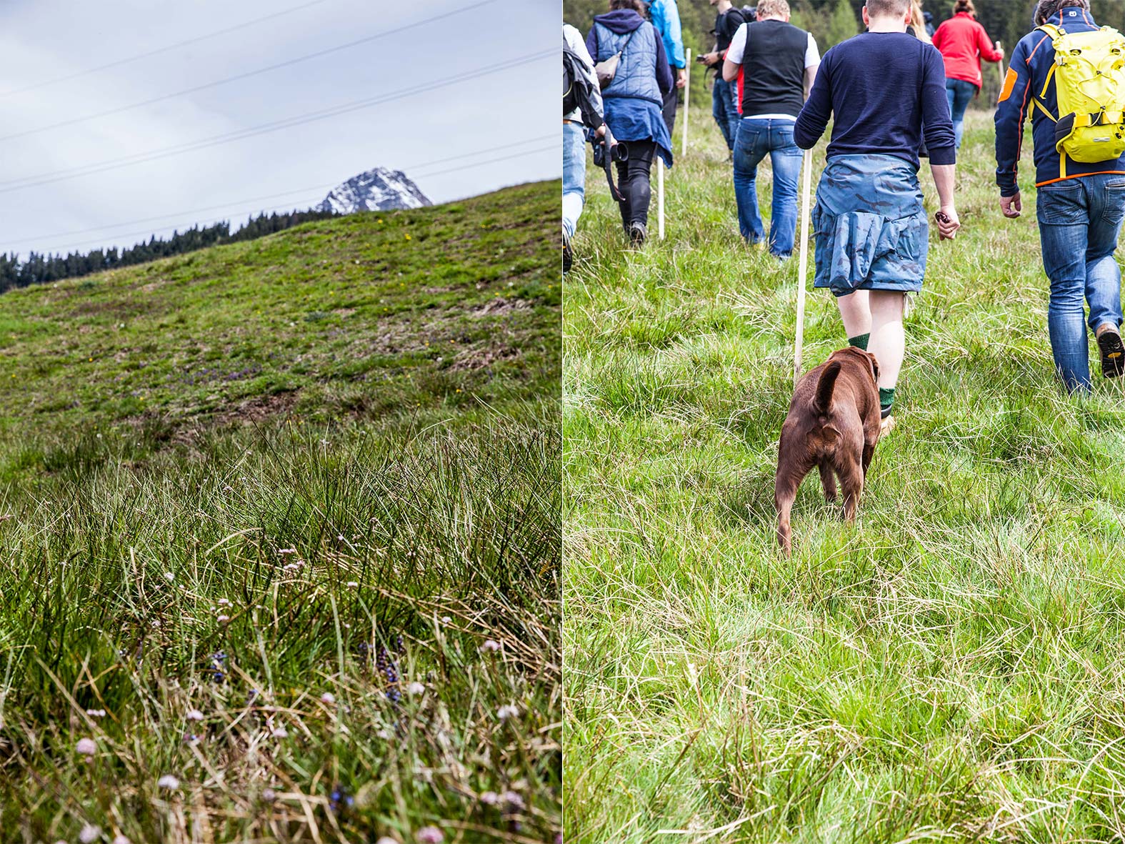 Einfach-Wandern_Foodtastic_1