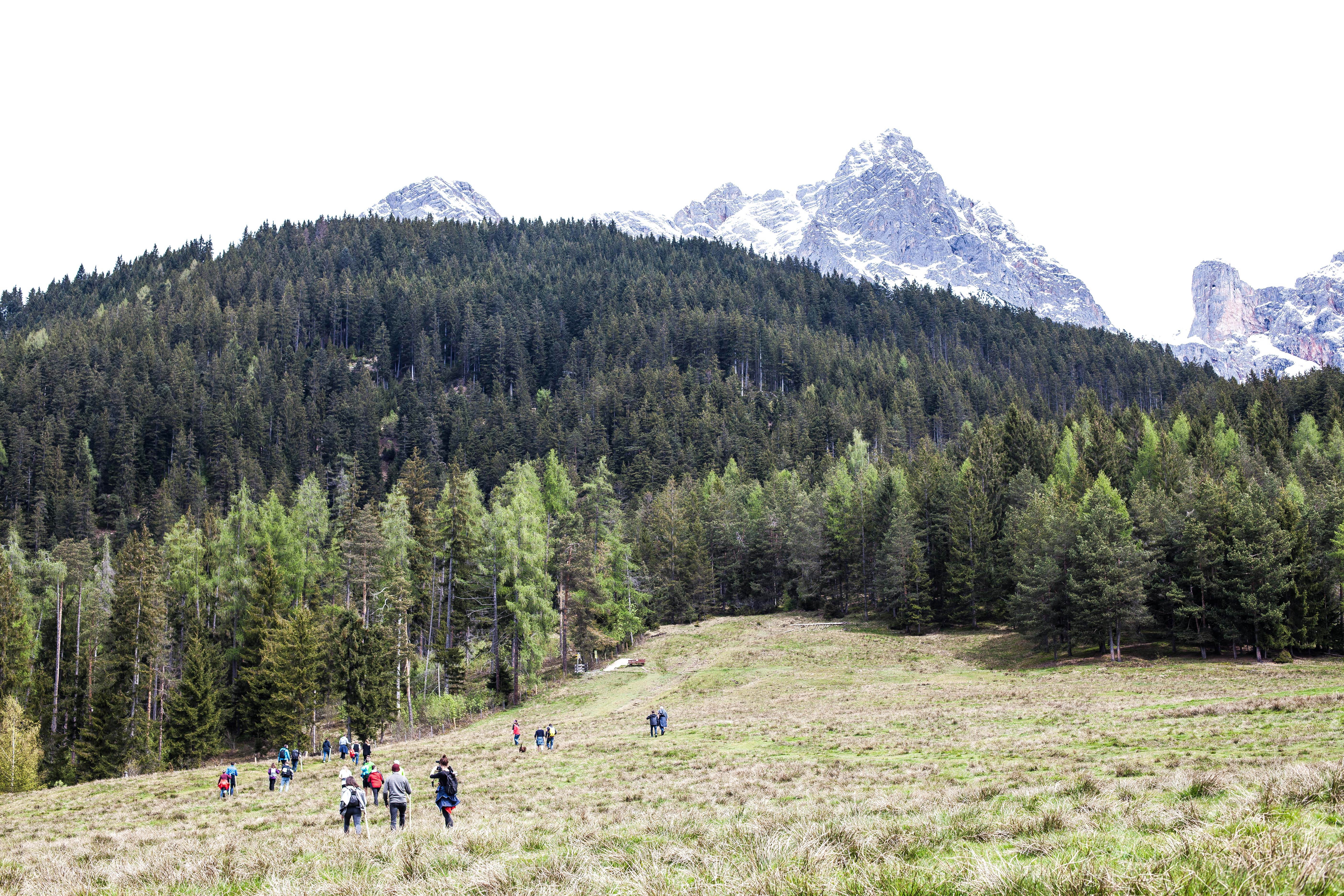 Einfach-Wandern_Foodtastic_1940