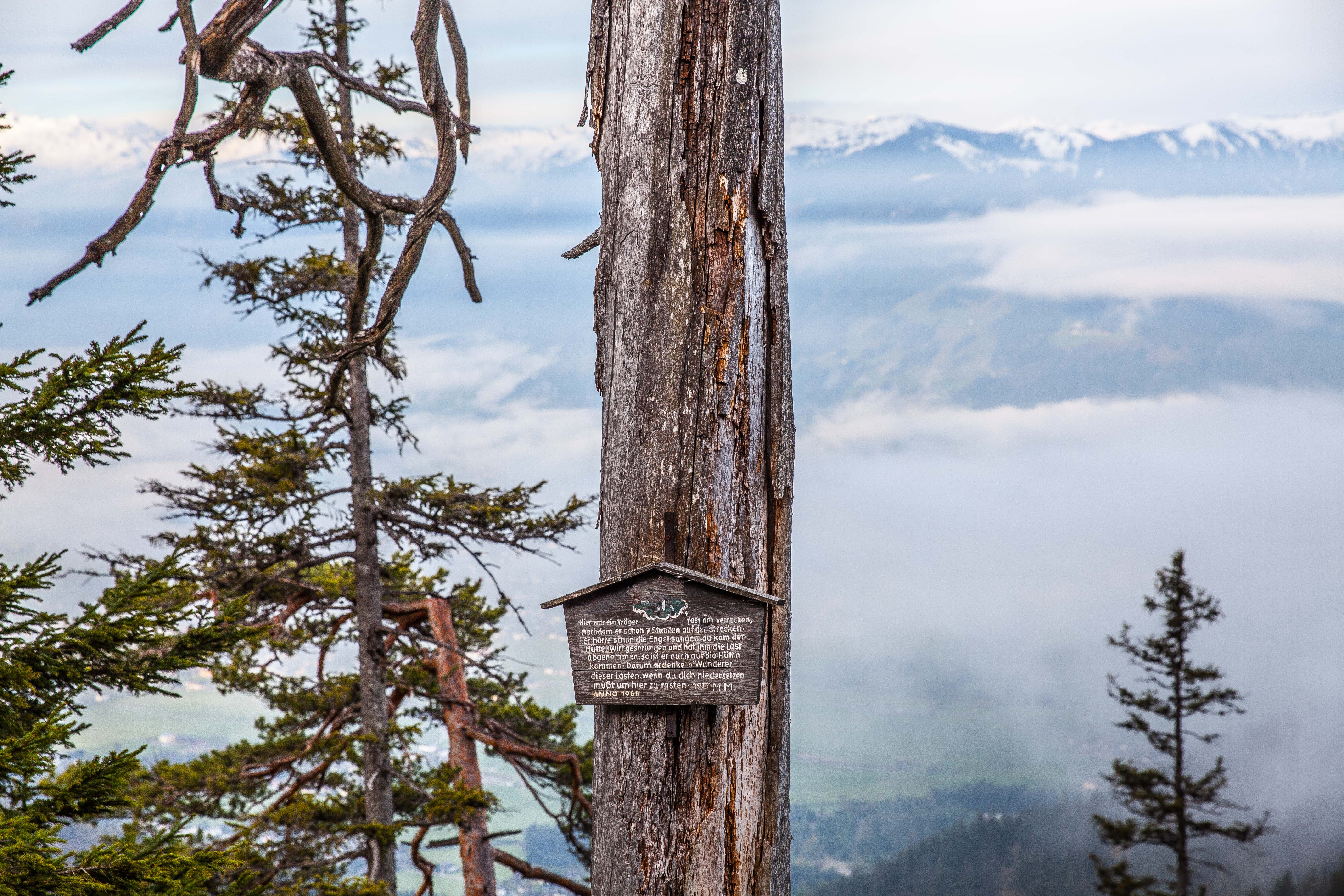 Einfach-Wandern_Foodtastic_2084