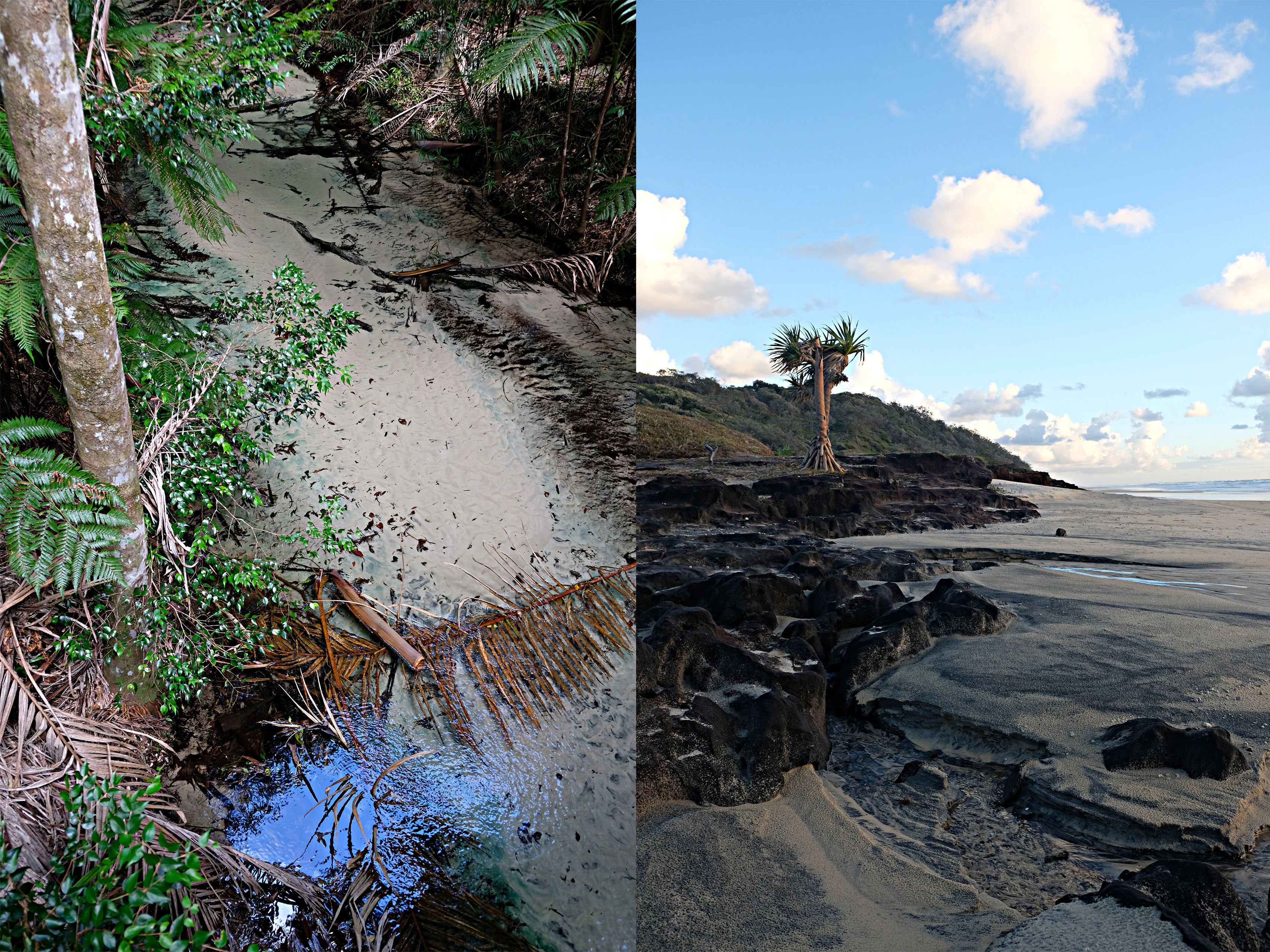 Fraser-Island