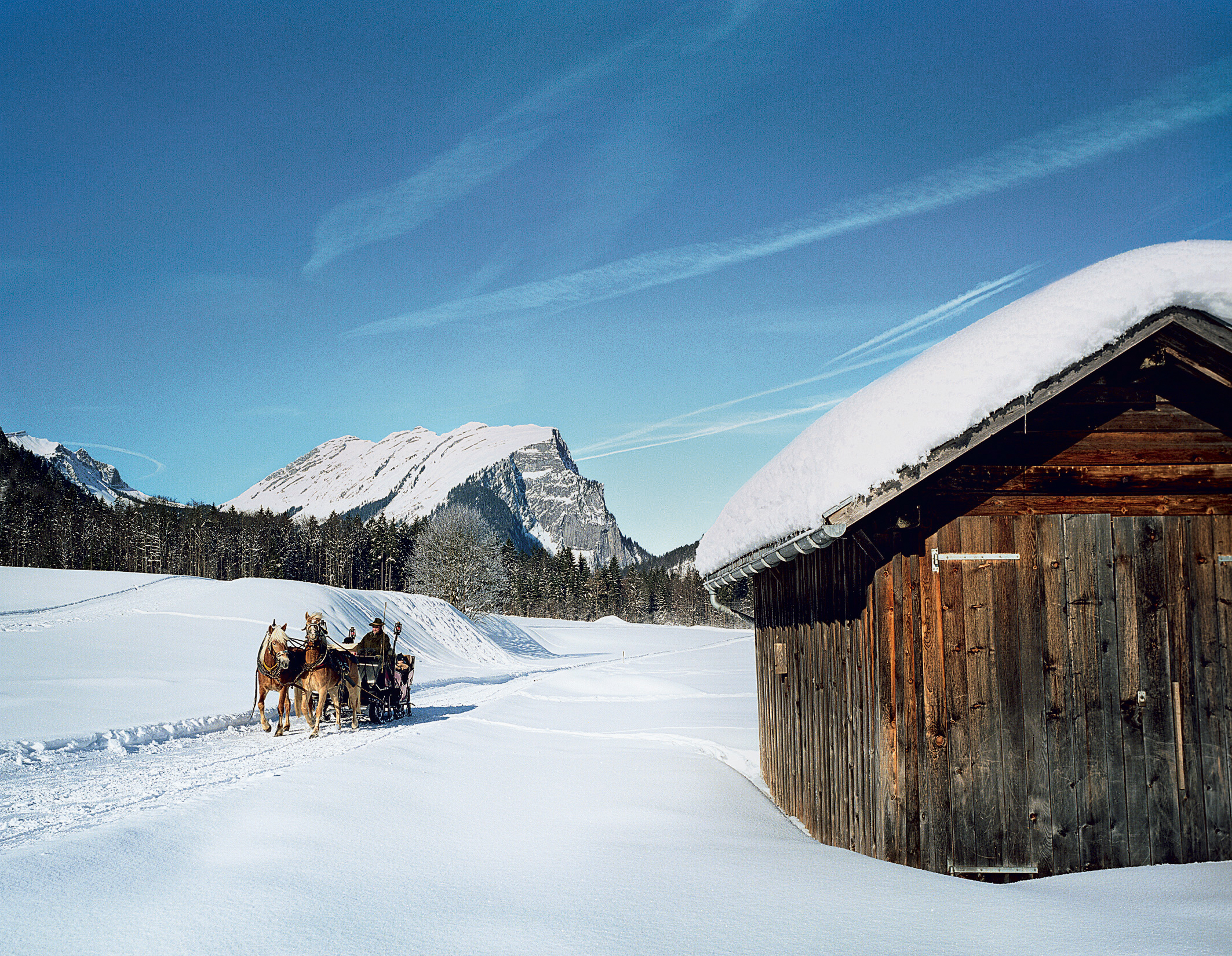 bregenzerwald-winter (3)